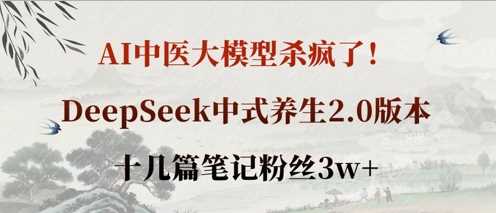 AI中医大模型杀疯了！DeepSeek中式养生2.0版本，十几篇笔记粉丝3w+-鲲鹏云网创
