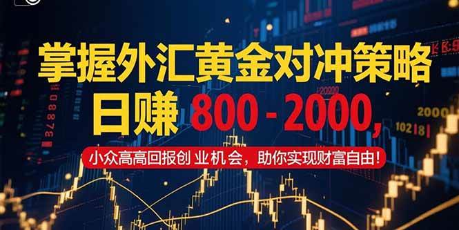 （15198期）掌握外汇黄金对冲策略，日赚 800 – 2000，小众高回报创业机会，助你实…-鲲鹏云网创