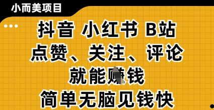 小而美的项目，抖音小红书B站视频点赞、关注、评论就能挣钱，简单无脑立见收益，妥妥的零撸项目【揭秘】-鲲鹏云网创