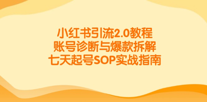 小红书引流2.0教程，账号诊断与爆款拆解，七天起号SOP实战指南-鲲鹏云网创