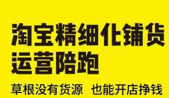 淘宝精细化铺货运营陪跑(部分更新至2025)，草根没有货源 也能开店挣钱-鲲鹏云网创