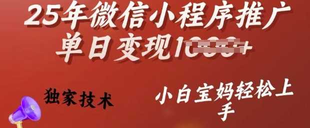 25年微信小程序推广单日变现多张，独家技术，小白宝妈轻松上手【揭秘】-鲲鹏云网创