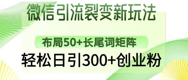 微信引流裂变新玩法：布局50+长尾词矩阵，轻松日引300+创业粉-鲲鹏云网创