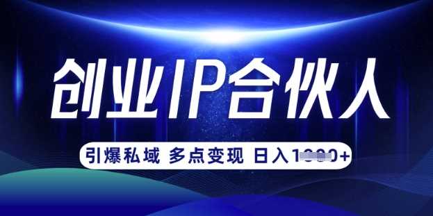 云帆·创业ip合伙人打造3.0，从0到1教你做网创，实现月入过W-鲲鹏云网创