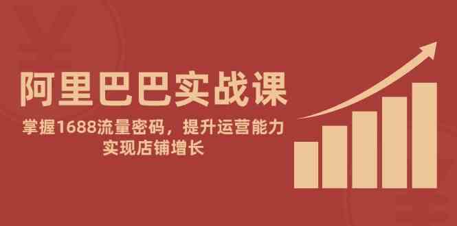 阿里巴巴实战课：掌握1688流量密码，提升运营能力，实现店铺增长-鲲鹏云网创