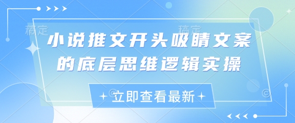 小说推文开头吸睛文案的底层思维逻辑实操-鲲鹏云网创