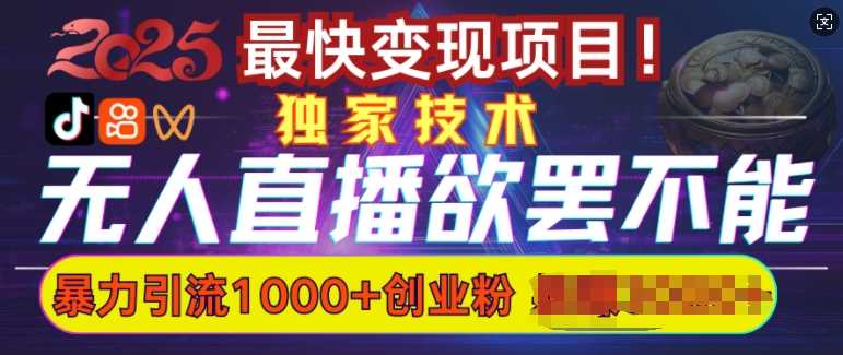 欲罢不能的无人直播引流，超暴力日引流1000+高质量精准创业粉-鲲鹏云网创