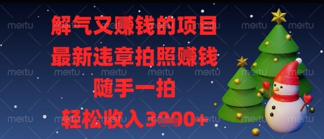 解气又挣钱的项目，最新违章拍照挣钱，随手一拍，轻松收入多张【揭秘】-鲲鹏云网创