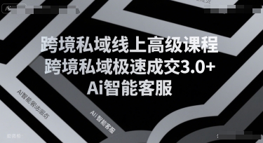 跨境私域线上高级课程，跨境私域极速成交3.0+Ai智能客服-鲲鹏云网创