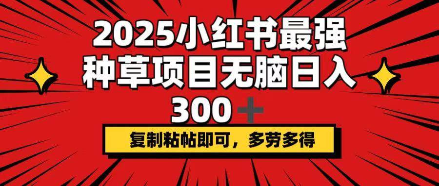 （14375期）2025小红书最强种草项目，无脑日入300+，复制粘帖即可，多劳多得-鲲鹏云网创