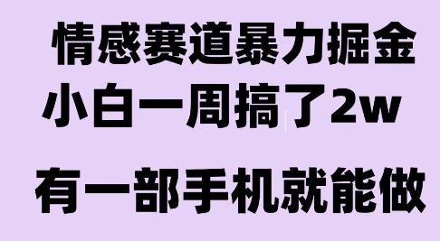 情感暴力掘金项目，新人操作一周挣了2W，长期稳定小白可做【揭秘】-鲲鹏云网创