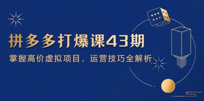 （14546期）拼多多打爆课第 43 期，掌握高价虚拟项目，运营技巧全解析（15节）-鲲鹏云网创