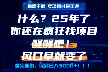 什么？25年你还在疯狂找项目做，醒醒吧，看完这些你全都懂了！【揭秘】-鲲鹏云网创