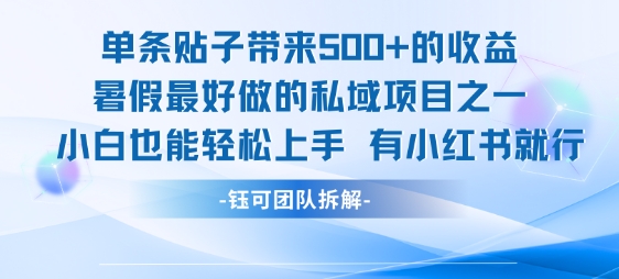 单条贴子带来5张的收益，暑假最好做的私域项目之一，小白也能轻松上手，有小红书就行-鲲鹏云网创
