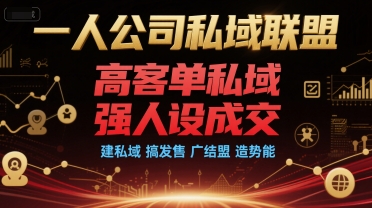 一人公司私域联盟，高客单私域，强人设成交，建私域 搞发售 广结盟 造势能-鲲鹏云网创