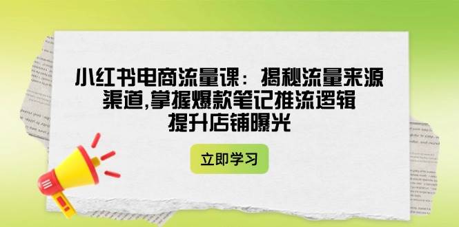 小红书电商流量课：揭秘流量来源渠道,掌握爆款笔记推流逻辑,提升店铺曝光-鲲鹏云网创