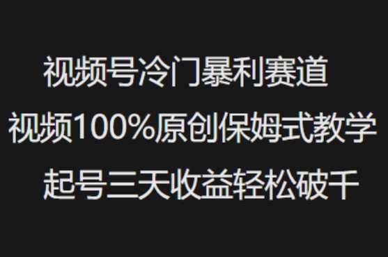 视频号冷门暴利赛道视频100%原创保姆式教学起号三天收益轻松破千-鲲鹏云网创