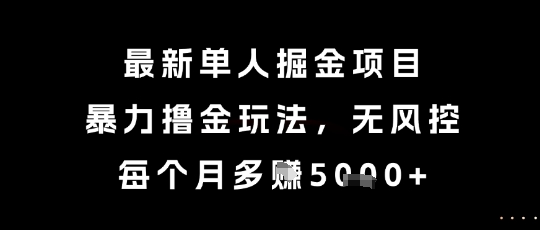 最新单人掘金项目，暴力撸金玩法，无风控，每个月多挣5k+【揭秘】-鲲鹏云网创