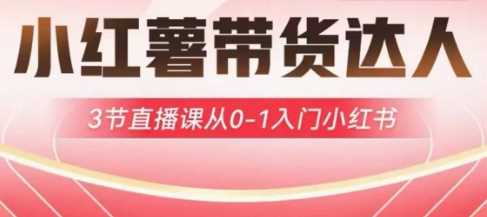 小红薯达人带货启航计划，3节直播课从0-1入门小红书-鲲鹏云网创