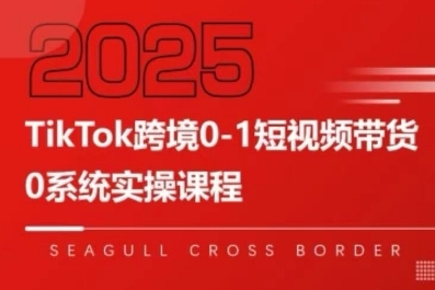 TikTok跨境0-1短视频带货，系统拆解TikTok跨境带货全链路，实现跨境可持续盈利-鲲鹏云网创