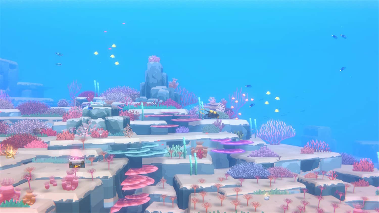 《潜水员戴夫》v1.0.3.1569中文版-鲲鹏云网创