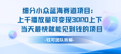 小众蓝海赛道项目：当天变现1k+适合新手操作 +适合长期玩-鲲鹏云网创