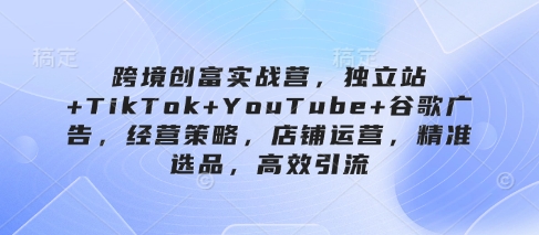 跨境创富实战营，独立站+TikTok+YouTube+谷歌广告，经营策略，店铺运营，精准选品，高效引流-鲲鹏云网创
