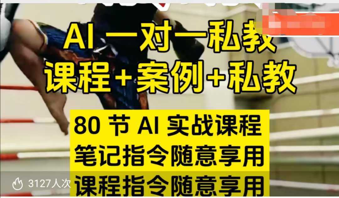 AI指令实战课，课程+案例，80节AI实战课程，笔记指令随意享用，课程指令随意享用-鲲鹏云网创