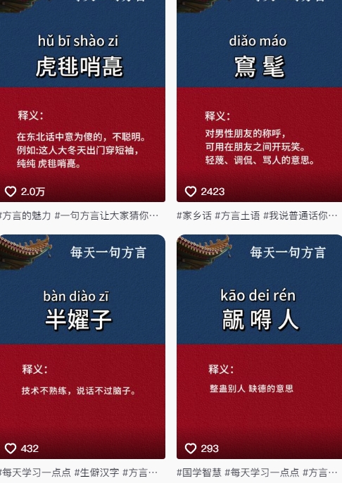 抖音最新涨粉玩法，图文方言暴力涨粉实操，126作品涨粉11W-鲲鹏云网创
