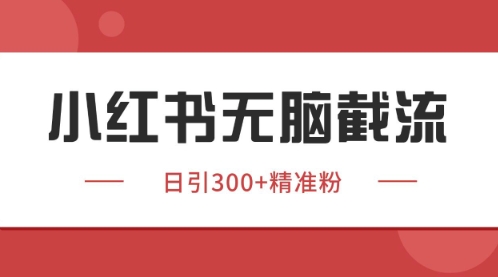 小红书只要你有同行就能获客，独家野路子获客玩法，暴力截流【揭秘】-鲲鹏云网创