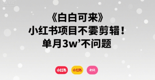 小白可来 小红书项目不需要剪辑 单月3w不是问题-鲲鹏云网创