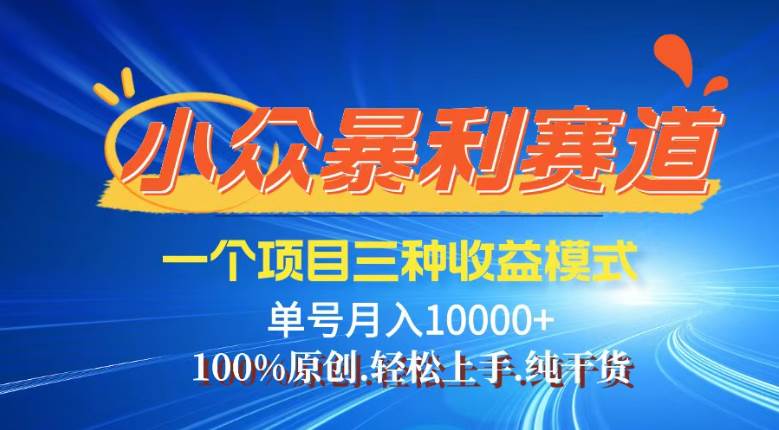（14300期）【灵狐计划】视频号最新爆火赛道，三种收益模式，0粉新号条条热门原创…-鲲鹏云网创