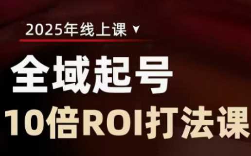 2025全域起号10倍ROI打法课，助你提升直播间的投资回报率-鲲鹏云网创