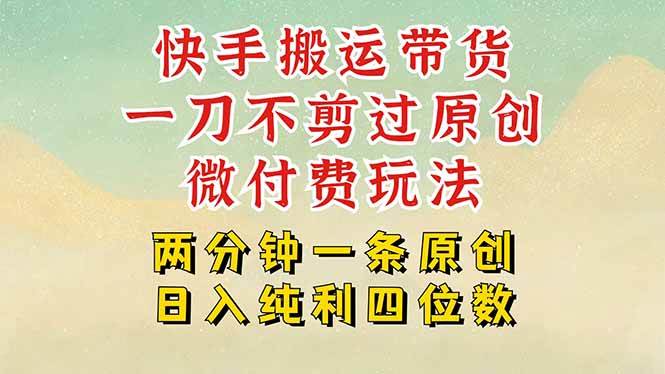 （15577期）快手黑科技搬运带货，一刀不剪过原创，微付费投流玩法，轻松日入四位数…-鲲鹏云网创