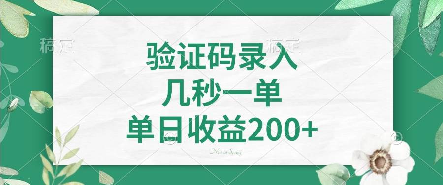 （14221期）验证码录入，几秒一单，单日收益200+-鲲鹏云网创