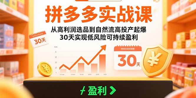 （15586期）拼多多实战课：从高利润选品到自然流高投产起爆 30天实现低风险可持续盈利-鲲鹏云网创
