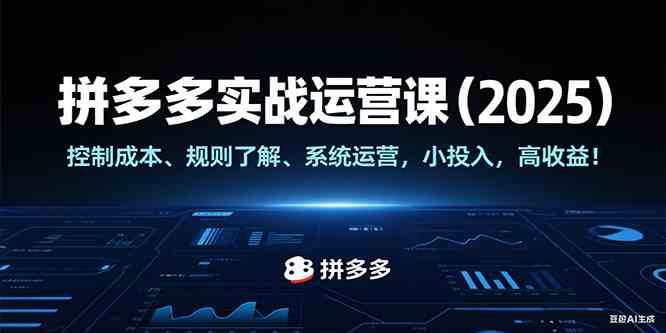 拼多多实战运营课（2025），控制成本、规则了解、系统运营，小投入，高收益！-鲲鹏云网创