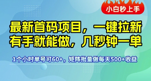 最新首码项目，一键拉新有手就能做，几秒钟一单，1个小时单号可60+，矩阵批量做每天5张【揭秘】-鲲鹏云网创