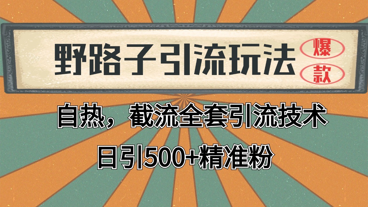2024首发野路子引流玩法截流自热全平台打法，全自动引流【日引2000+精准客户】-鲲鹏云网创