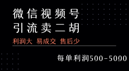 视频号卖二胡教程，利润大 易成交 售后少，一单利润5张+-鲲鹏云网创