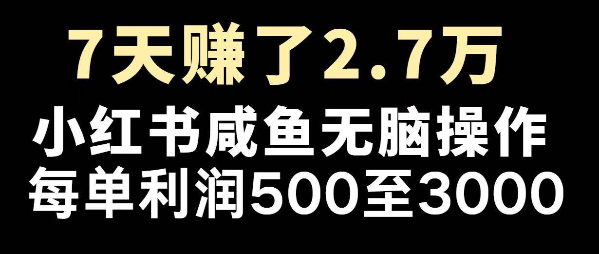 （14183期）最赚钱项目之一，2025爆火，逆风翻盘！-鲲鹏云网创