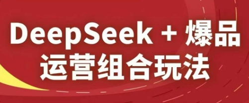DeepSeek+爆品运营组合玩法，2025淘系精品课-鲲鹏云网创