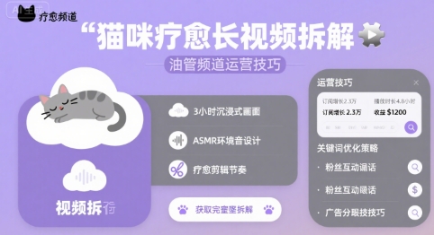 猫咪疗愈长视频拆解 &油管频道运营技巧-鲲鹏云网创