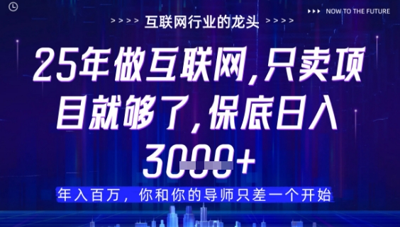 什么！25年你还在找项目做？风口早就变了，卖项目才是稳挣不赔【揭秘】-鲲鹏云网创