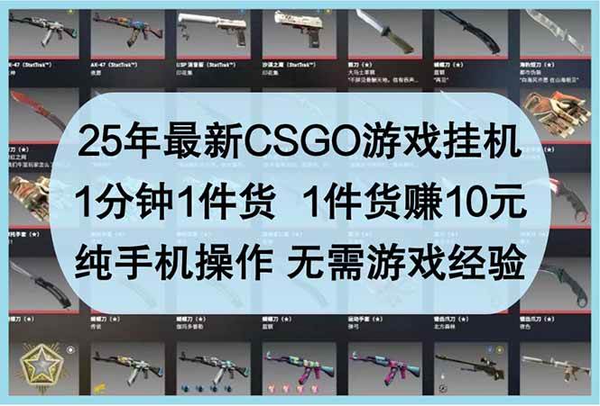 （14439期）25年最新CSGO游戏挂机，1分钟1件货，1件货赚10元 纯手机操作 无需游戏经验-鲲鹏云网创