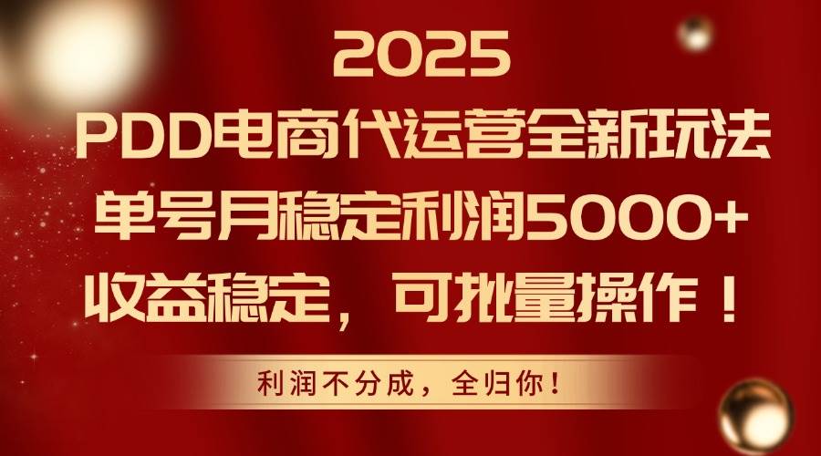 （14839期）2025PDD电商代运营全新玩法，单号月稳定利润5000+，收益稳定，可批量操作-鲲鹏云网创