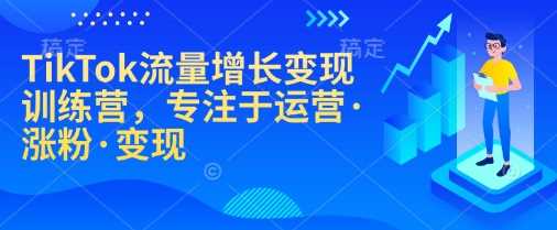 TikTok流量增长变现训练营，专注于运营·涨粉·变现-鲲鹏云网创