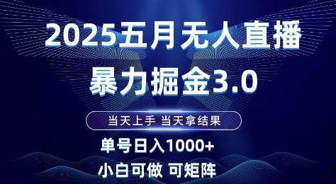 2025五月无人直播暴力掘金3.0，当天上手，当天拿结果，单号日入1k+小白可做可矩阵【揭秘】-鲲鹏云网创