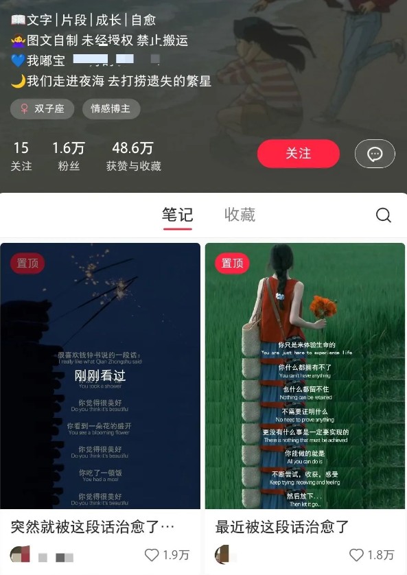 小红书治愈文案图文笔记，零门槛，一分钟制作轻松制作爆款作品月入万元-鲲鹏云网创