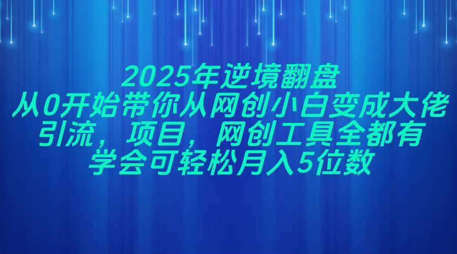 （14473期）2025年逆境翻盘，从0开始带你从网创小白变成大佬，引流，项目，网创工…-鲲鹏云网创